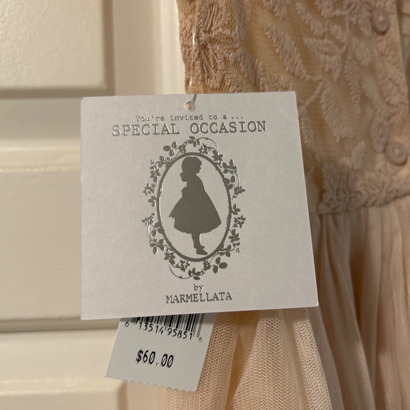 Blush toddler event dress - Picture 3 of 3